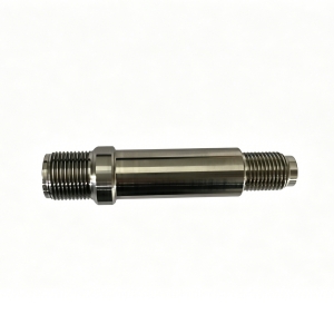Publication Image